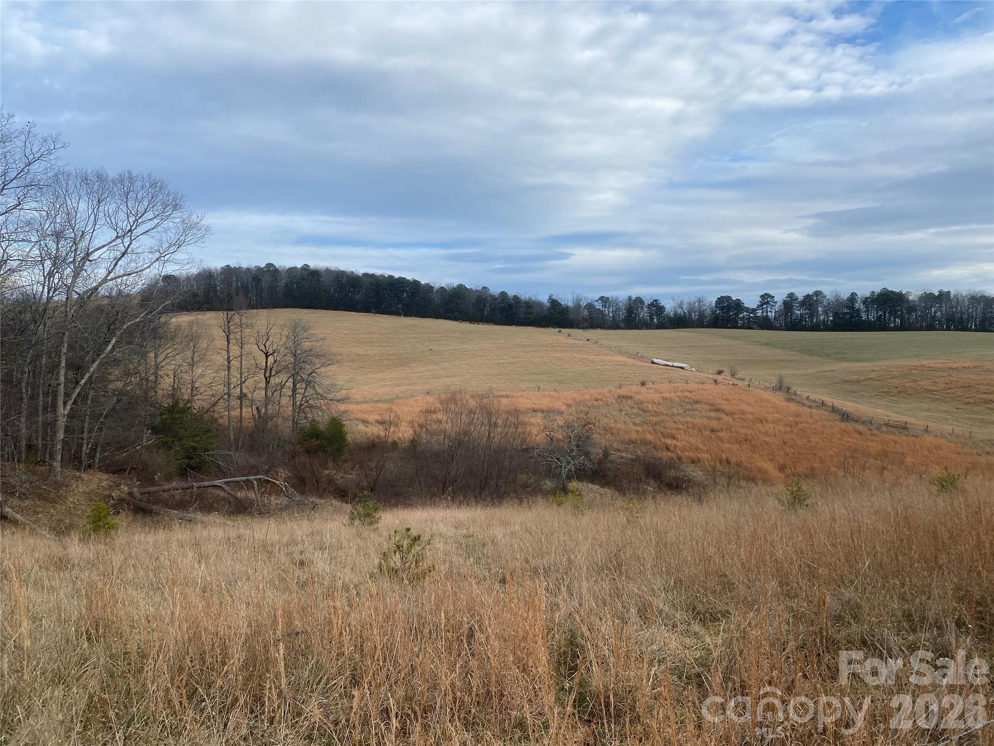 0 Summer Road, Unit 20 44 ACRES Hendersonville, NC 28792 - Photo 28 of 28 a view of lake view and mountain