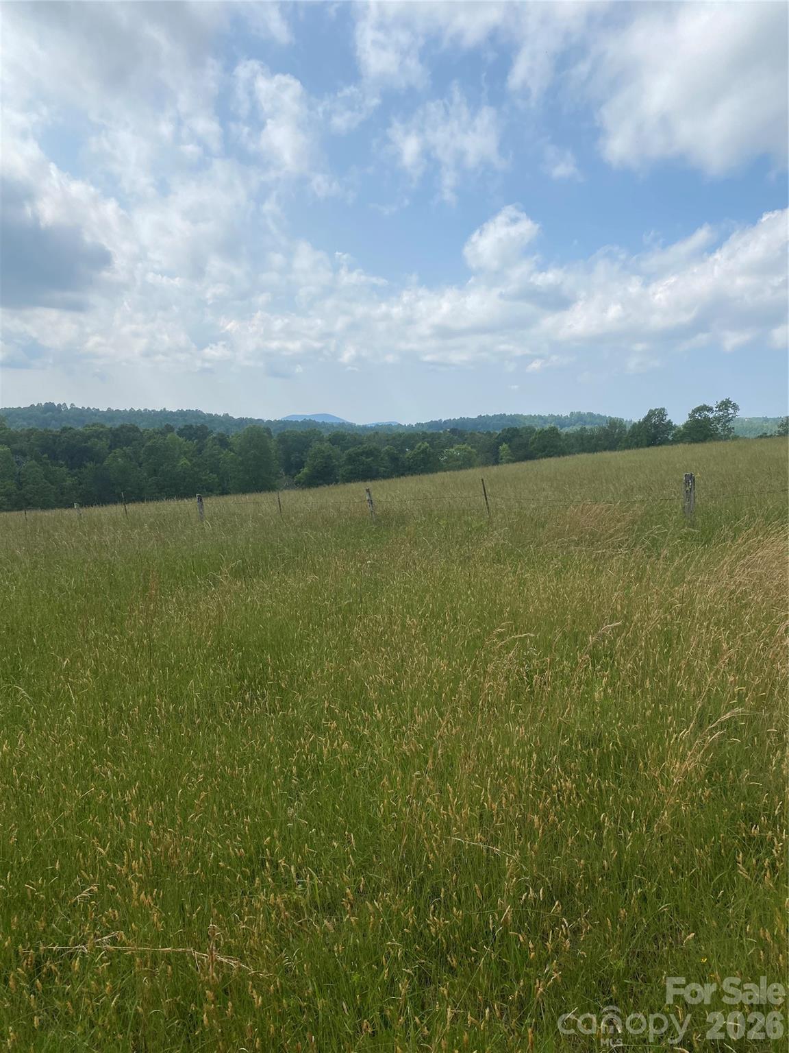 0 Summer Road, Unit 20 44 ACRES Hendersonville, NC 28792 - Photo 8 of 28 a view of an ocean and beach