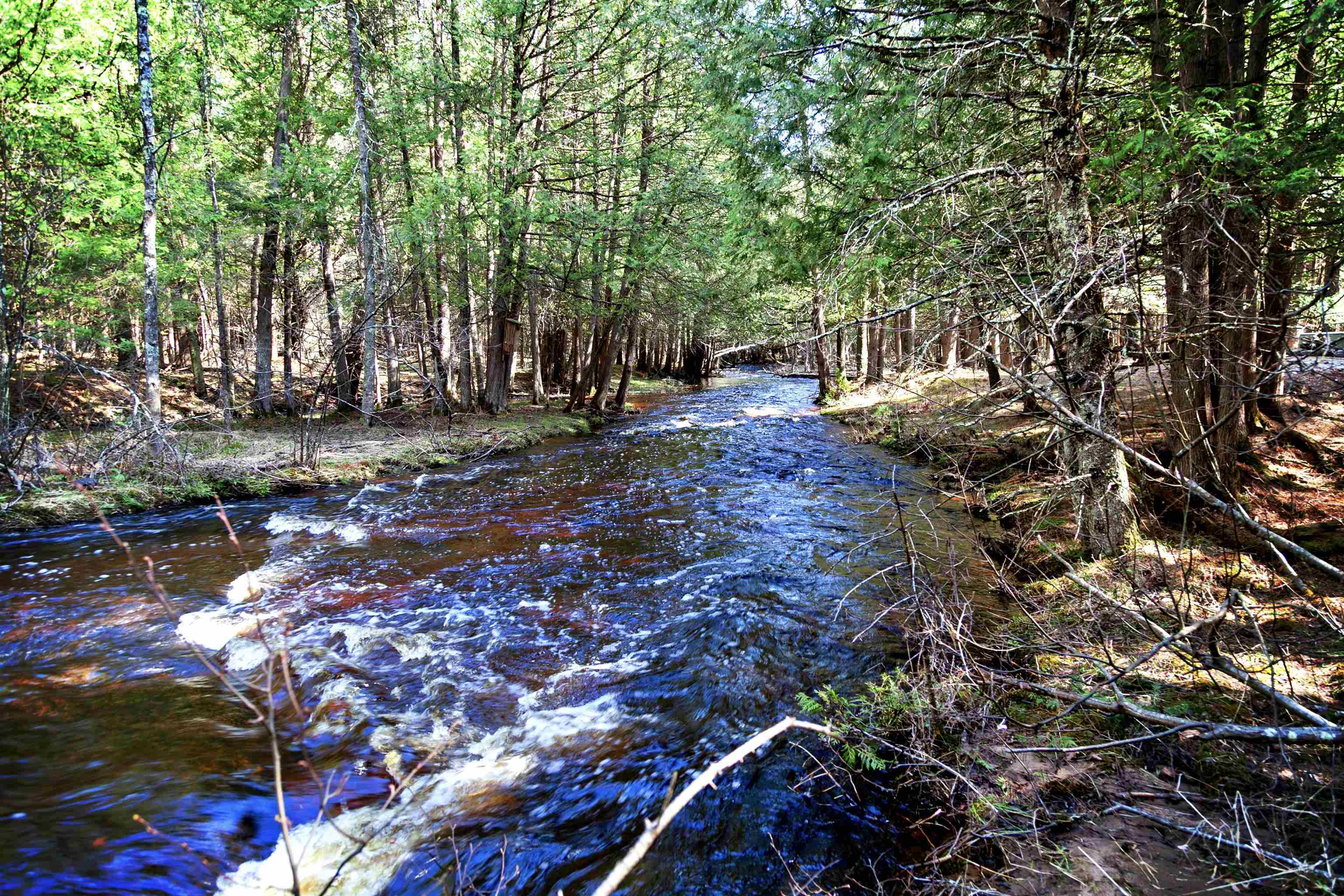 W8421 Beilak Road Wausaukee, WI 54177 - Photo 33 of 58