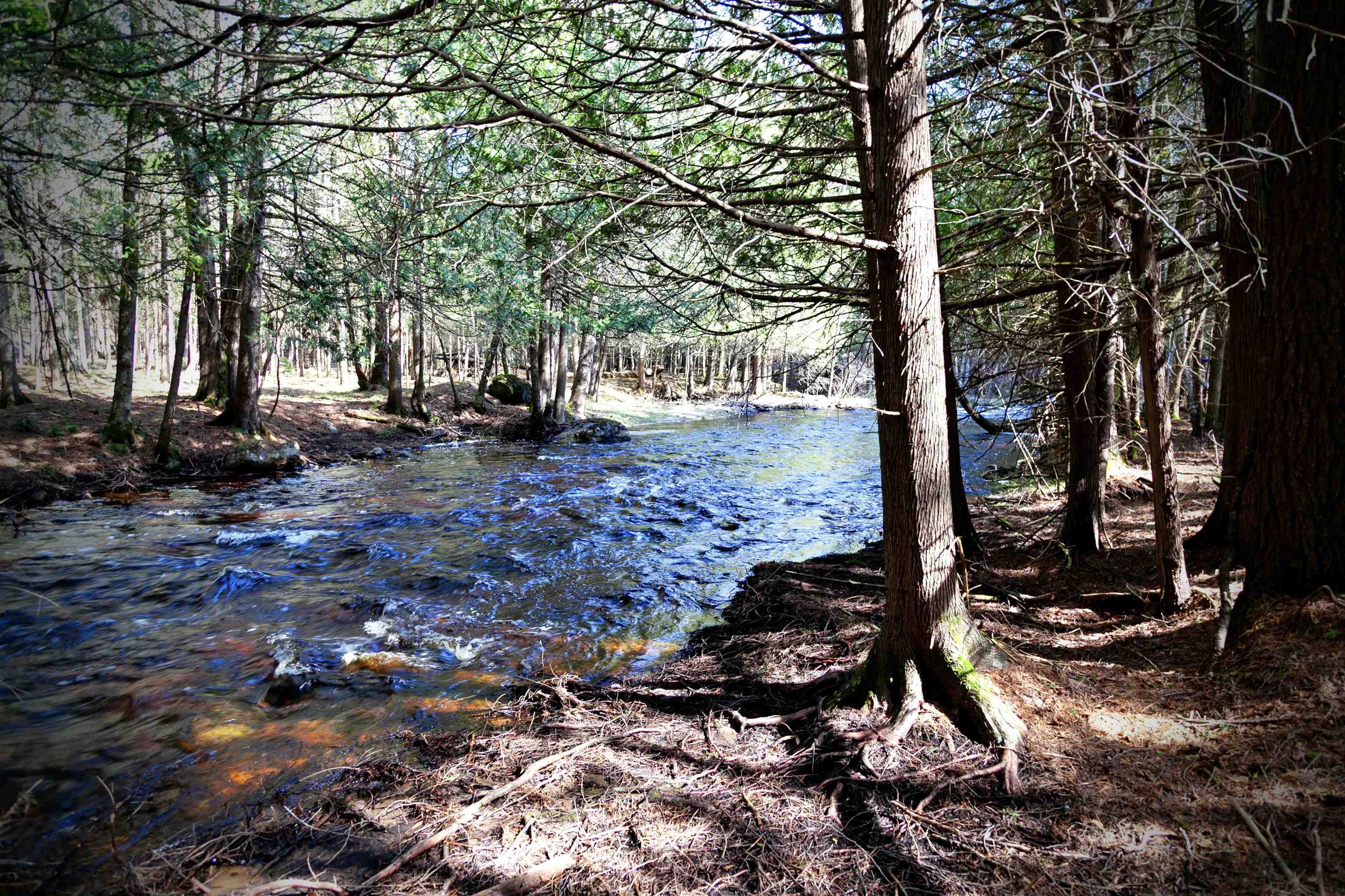 W8421 Beilak Road Wausaukee, WI 54177 - Photo 34 of 58