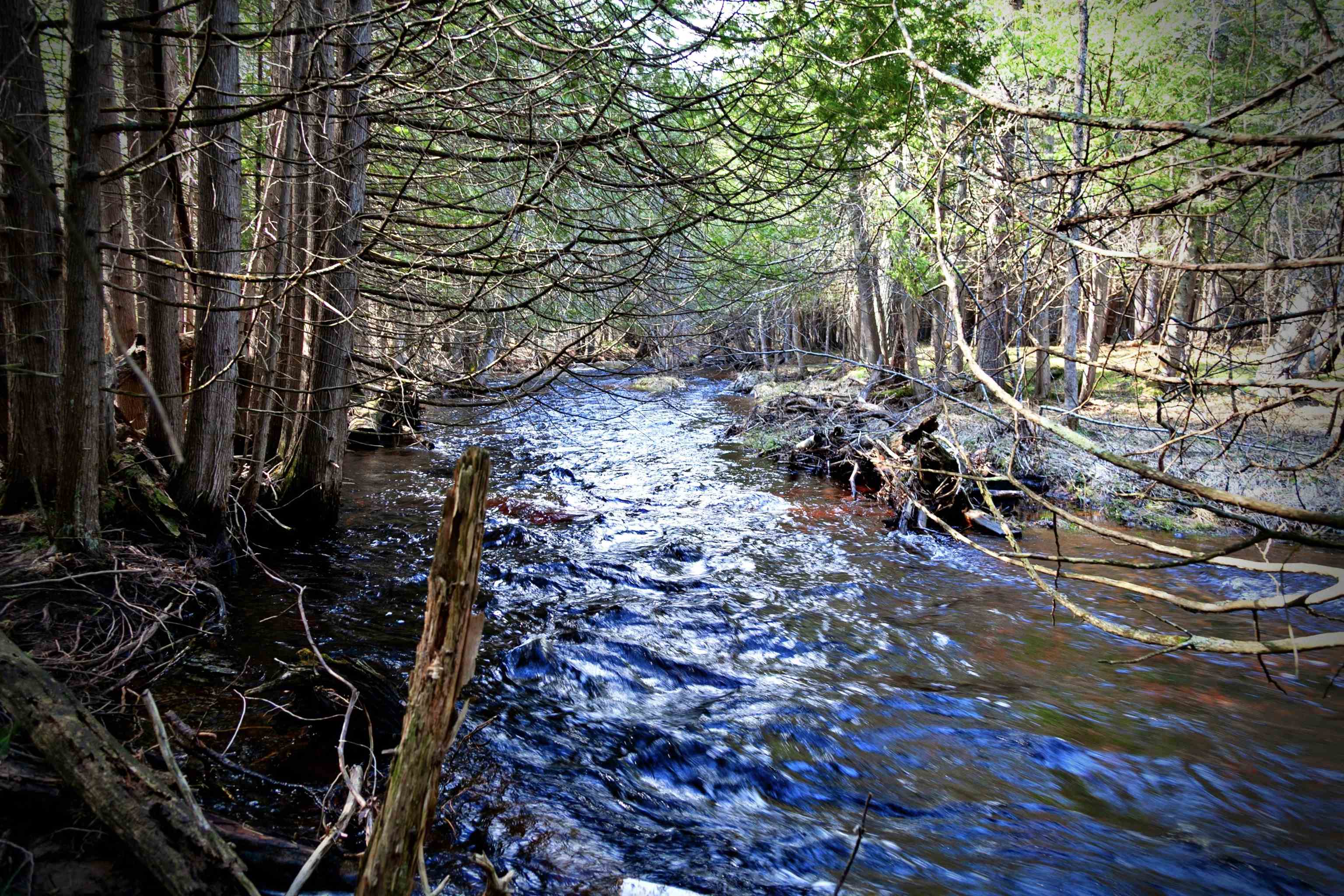 W8421 Beilak Road Wausaukee, WI 54177 - Photo 35 of 58