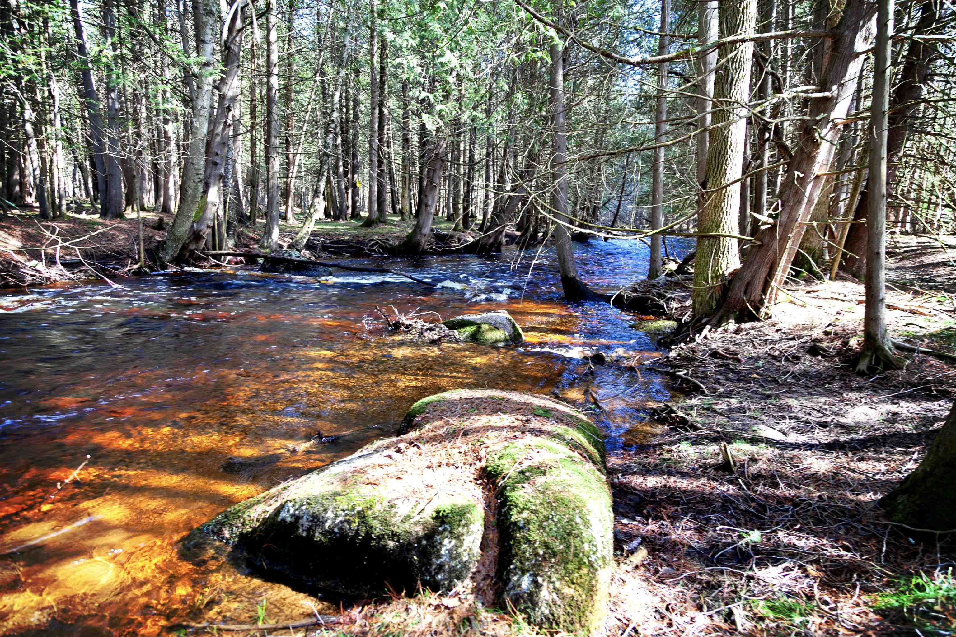 W8421 Beilak Road Wausaukee, WI 54177 - Photo 36 of 58