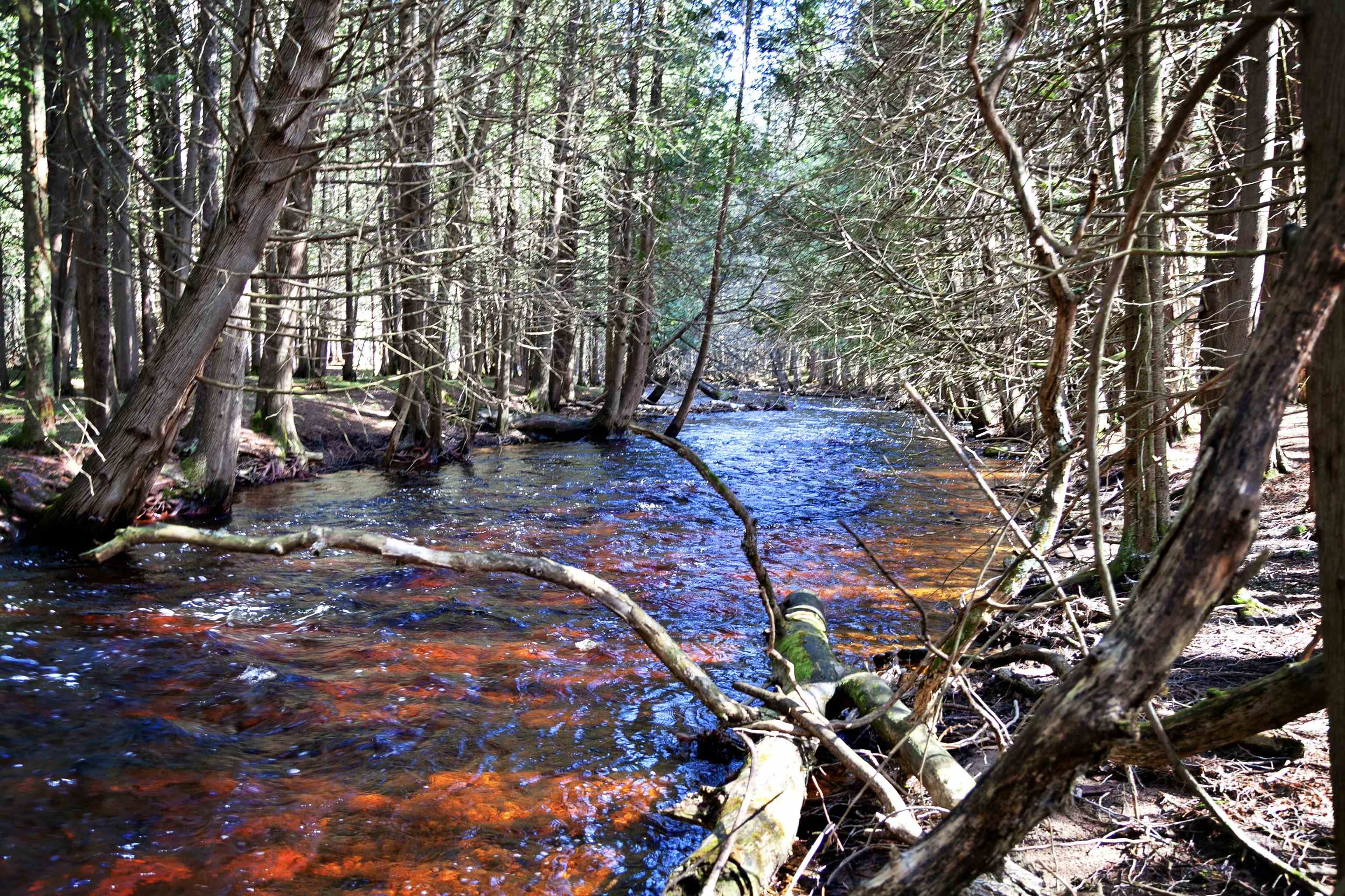 W8421 Beilak Road Wausaukee, WI 54177 - Photo 37 of 58