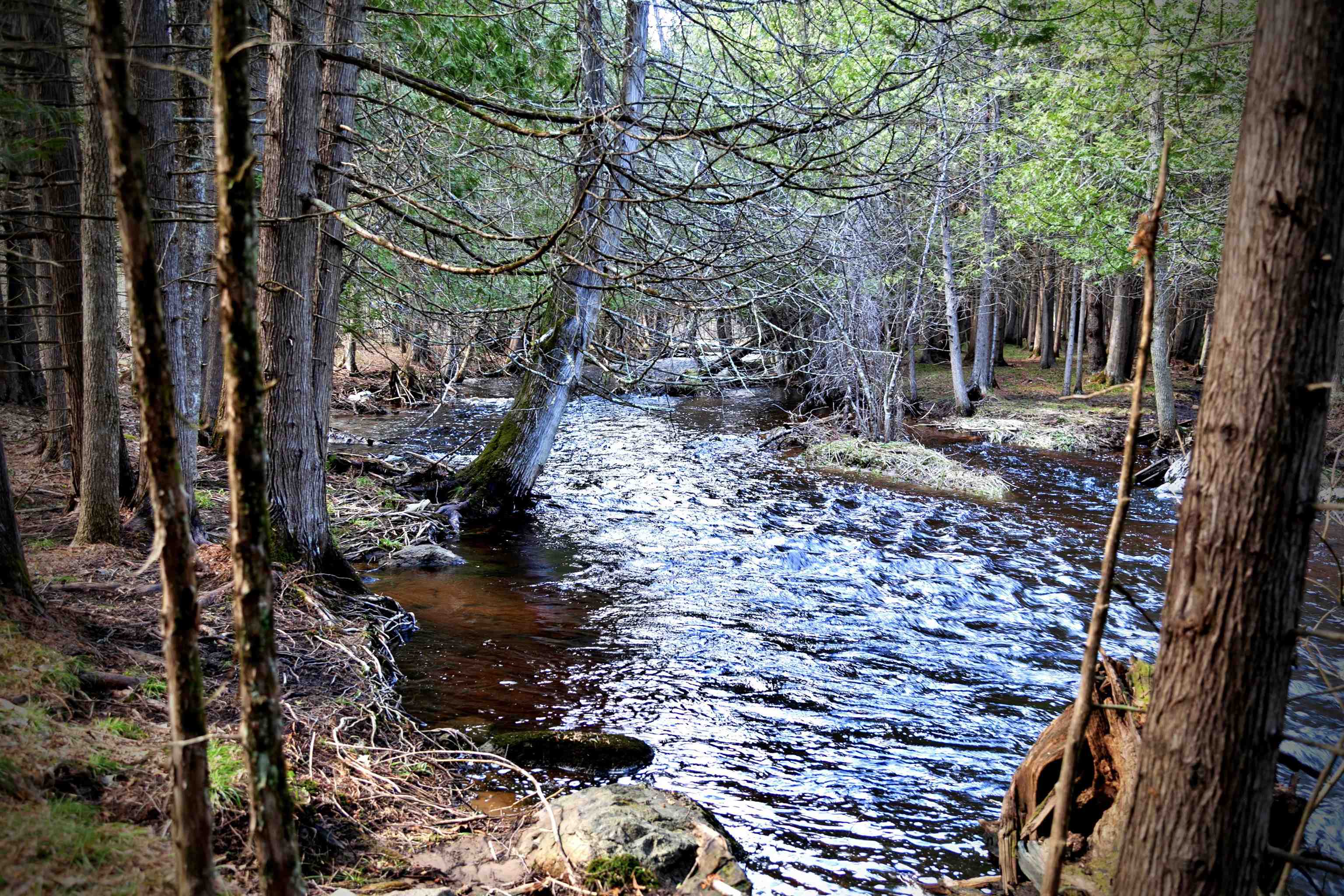 W8421 Beilak Road Wausaukee, WI 54177 - Photo 40 of 58