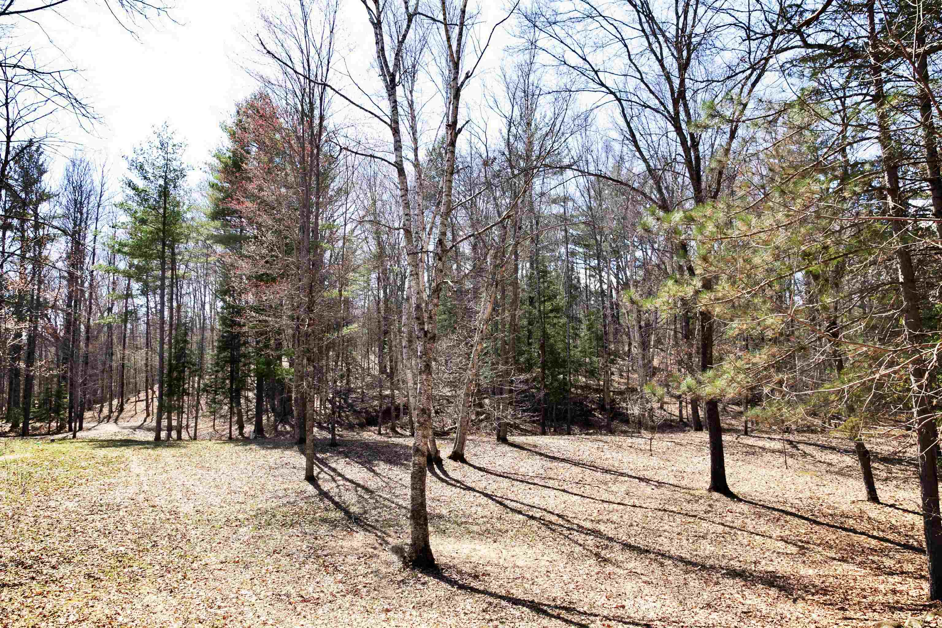 W8421 Beilak Road Wausaukee, WI 54177 - Photo 45 of 58