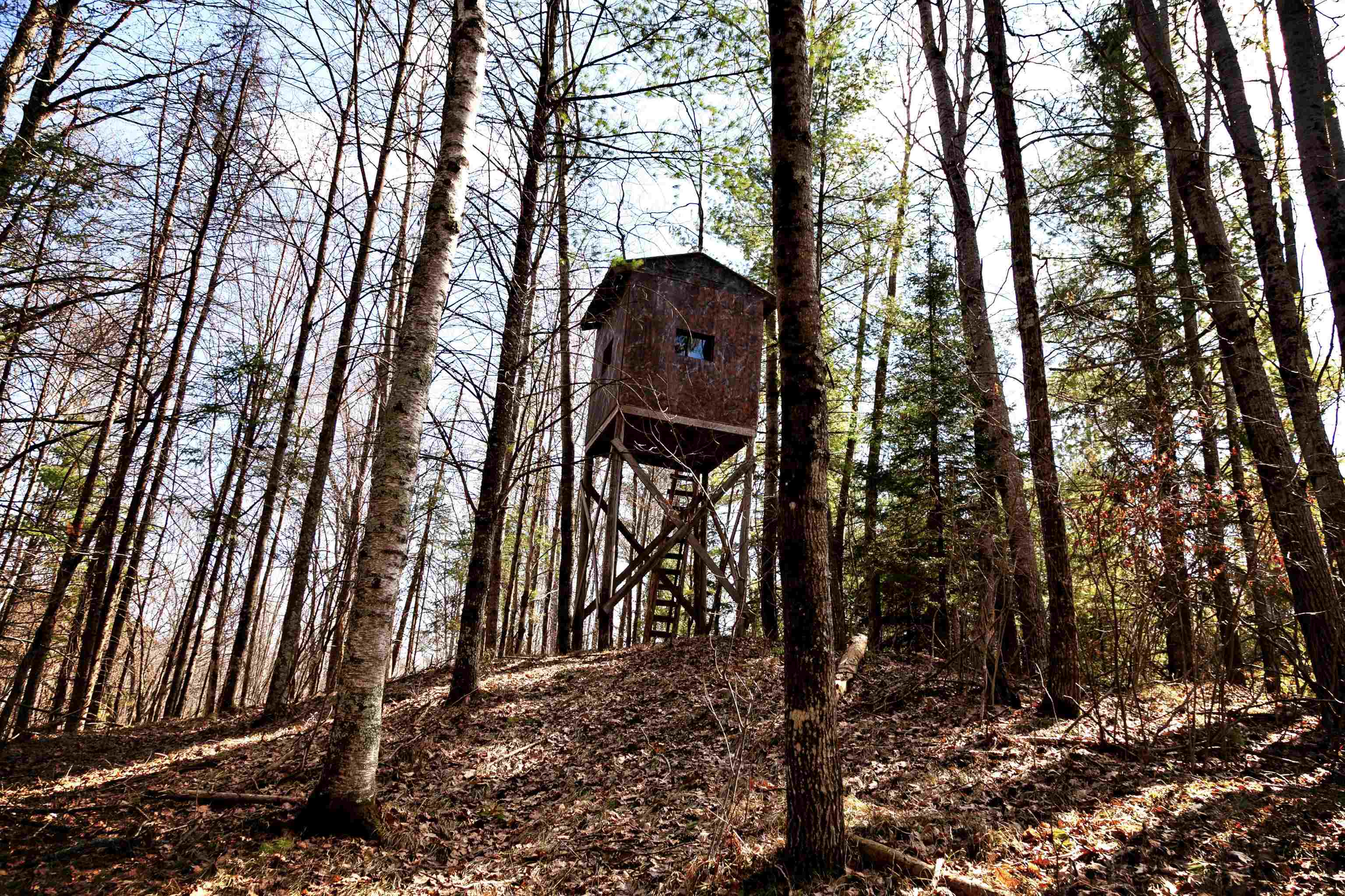 W8421 Beilak Road Wausaukee, WI 54177 - Photo 46 of 58