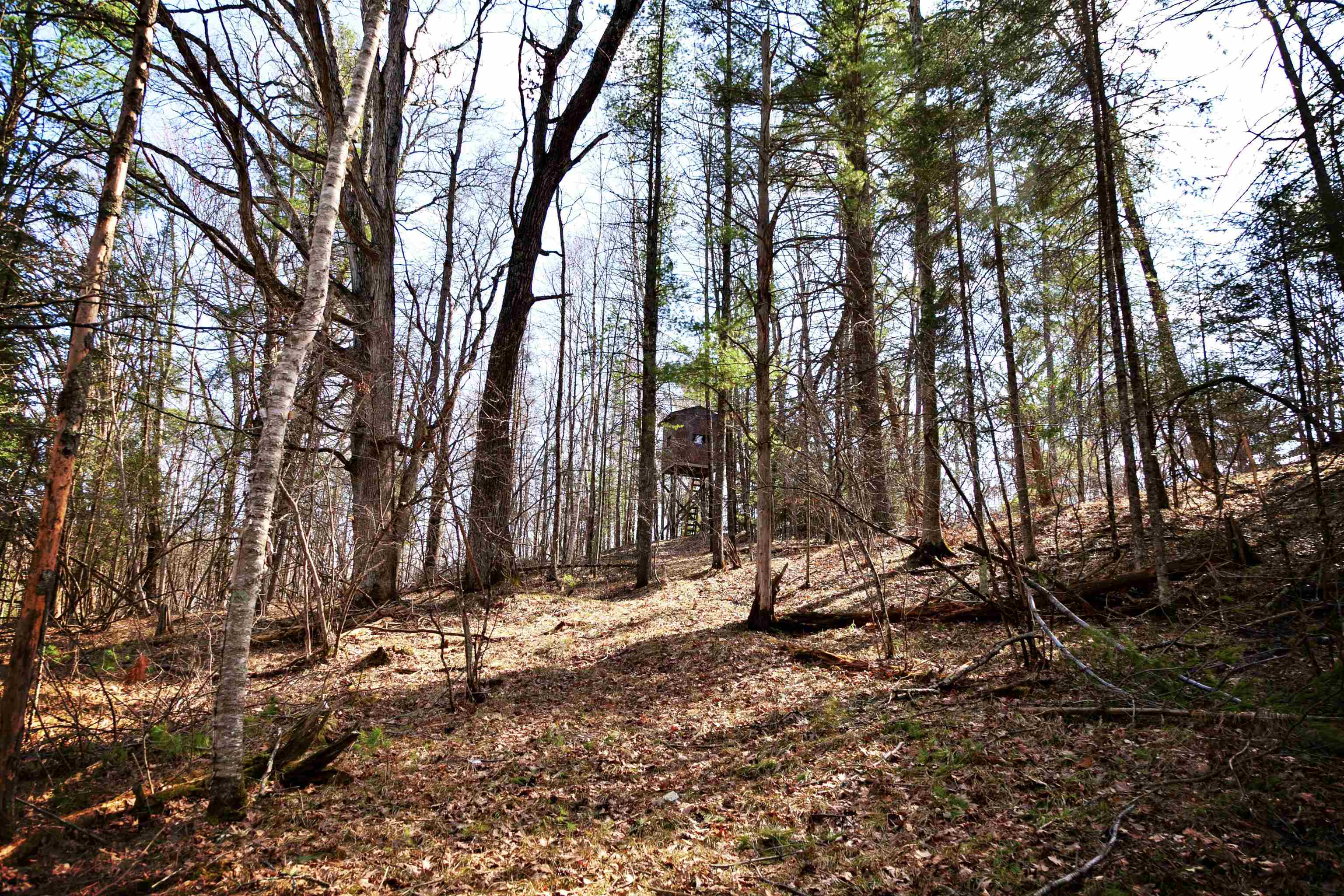 W8421 Beilak Road Wausaukee, WI 54177 - Photo 52 of 58