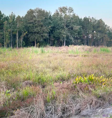 $150,000 | 16489 Peacock Drive, Walker, LA 70785
