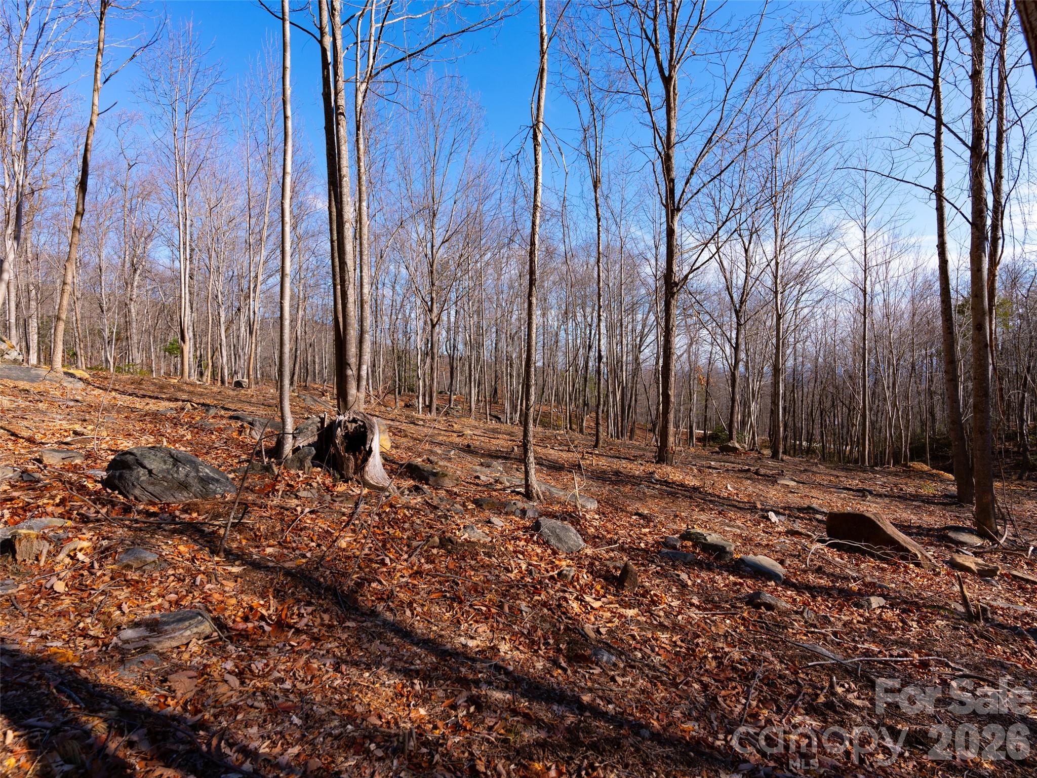 220 Chesterfield Drive Mill Spring, NC 28756 - Photo 11 of 34