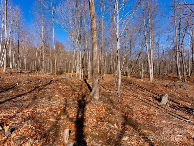 a view of a backyard with chairs