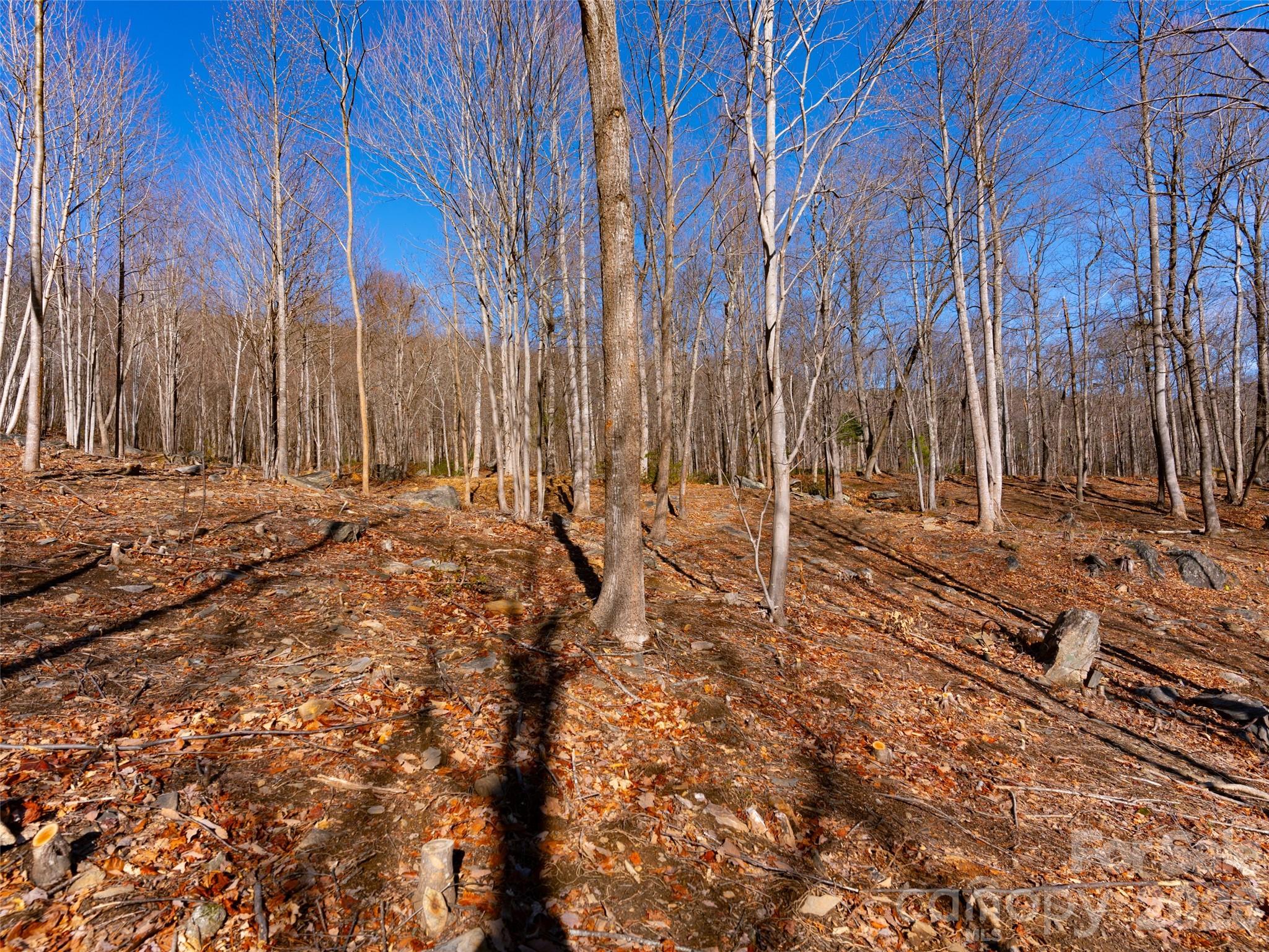 220 Chesterfield Drive Mill Spring, NC 28756 - Photo 13 of 34
