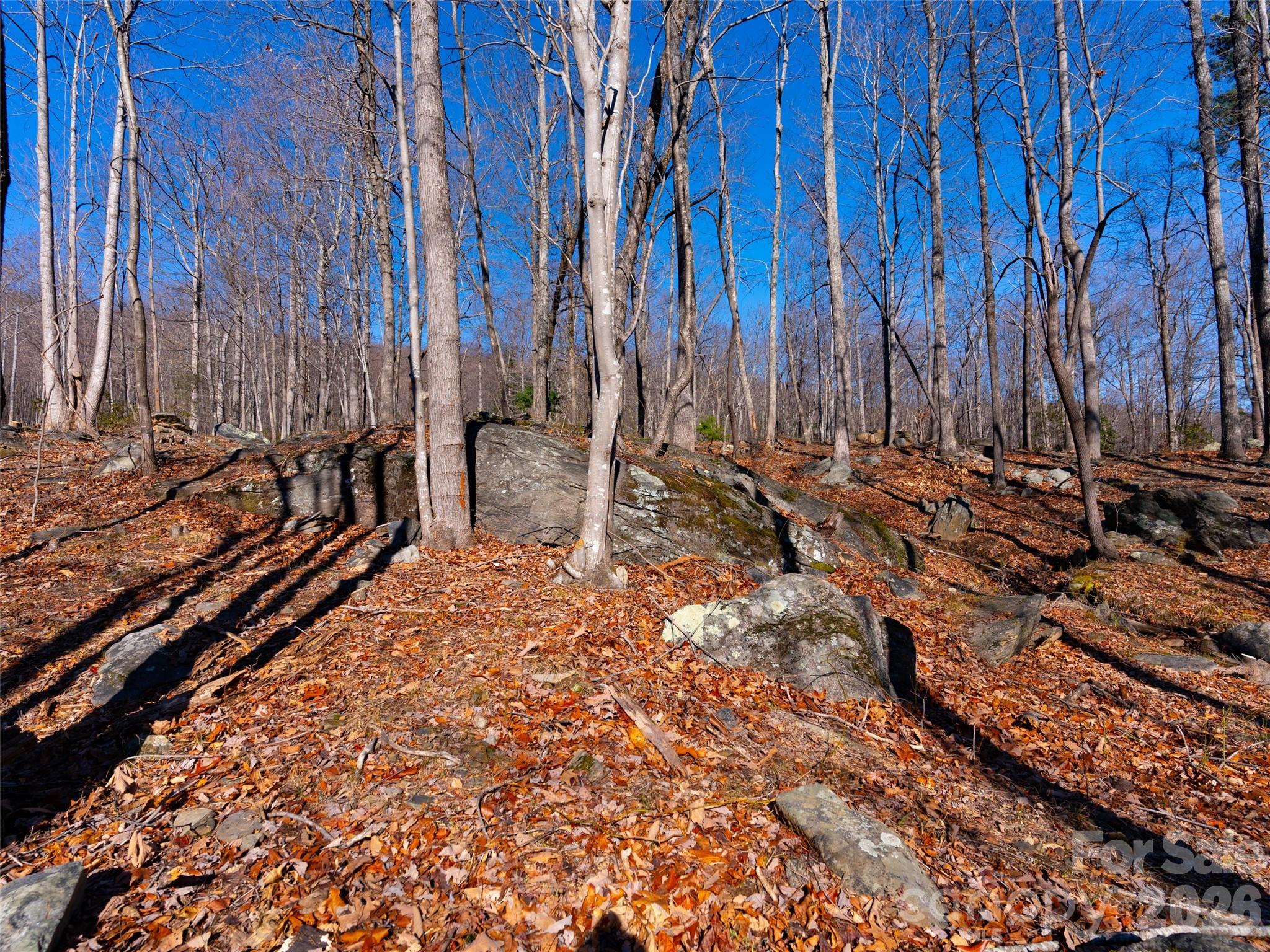 220 Chesterfield Drive Mill Spring, NC 28756 - Photo 14 of 34