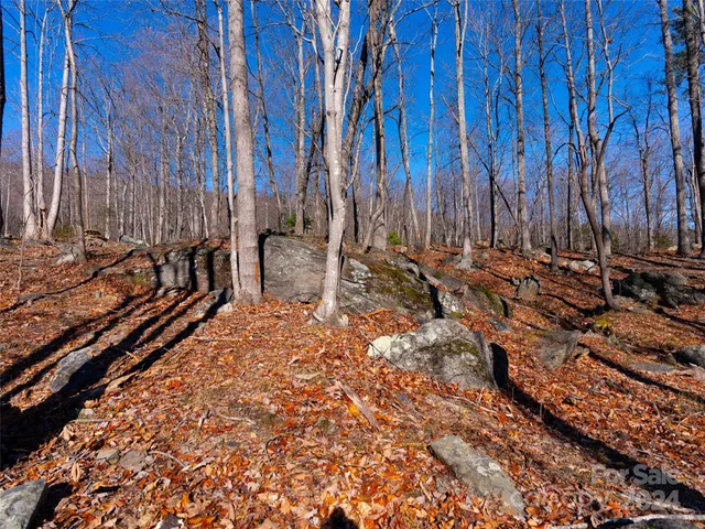 a view of a yard with sitting area