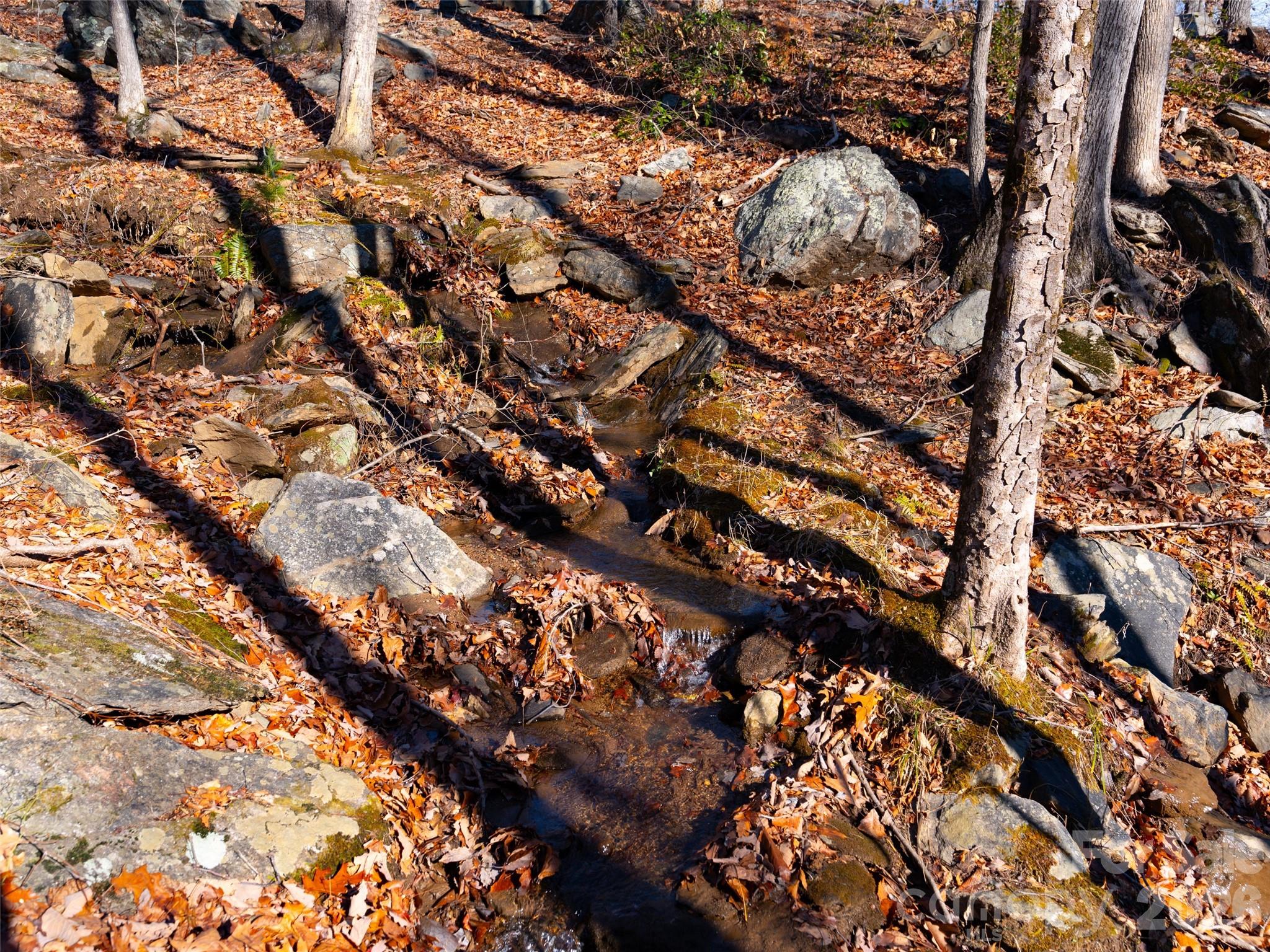 220 Chesterfield Drive Mill Spring, NC 28756 - Photo 15 of 34