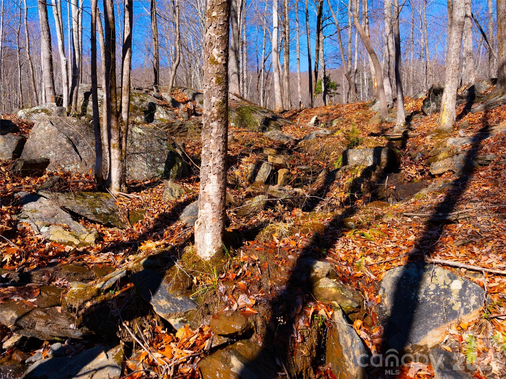 220 Chesterfield Drive Mill Spring, NC 28756 - Photo 16 of 34