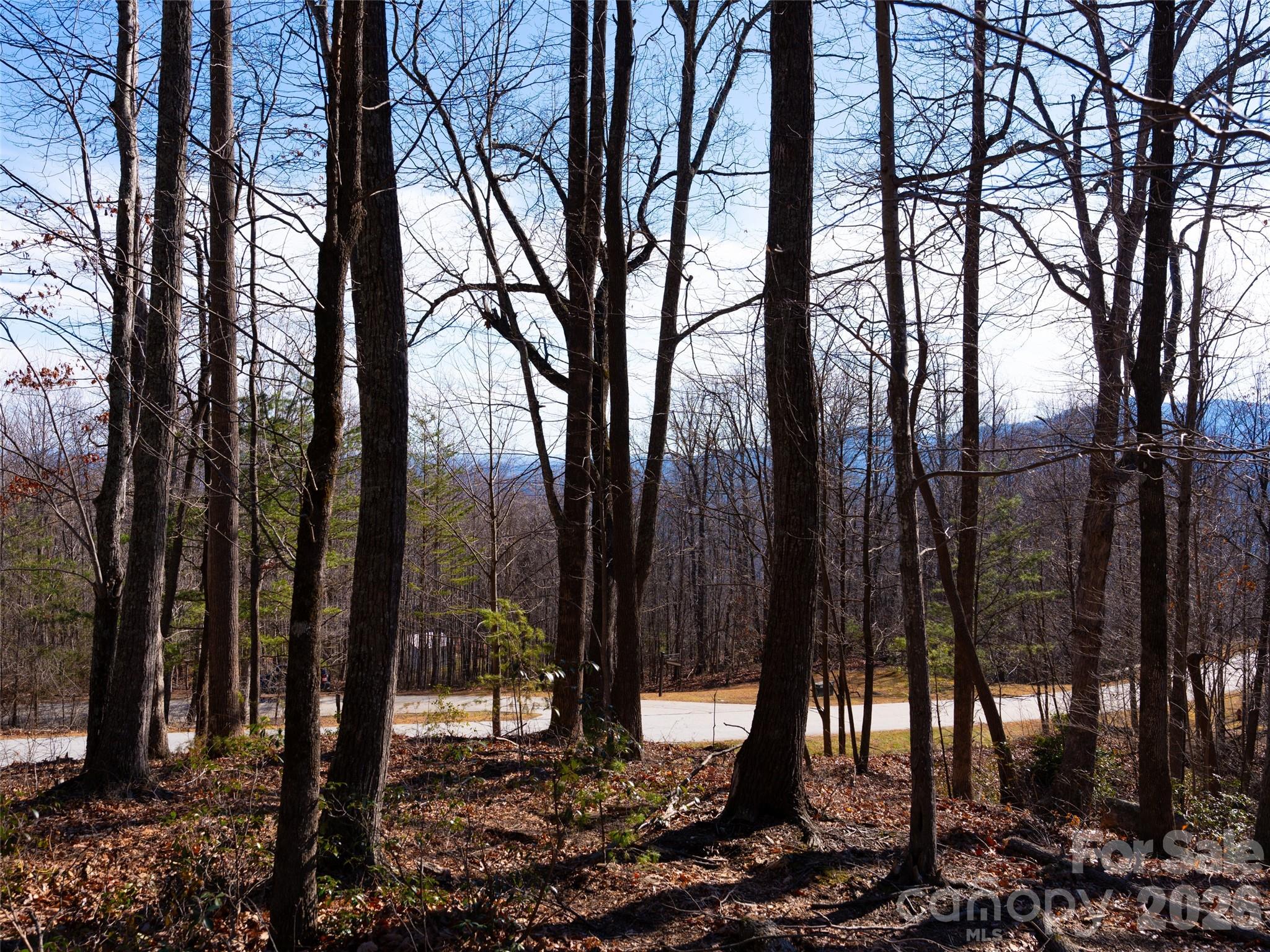 220 Chesterfield Drive Mill Spring, NC 28756 - Photo 17 of 34