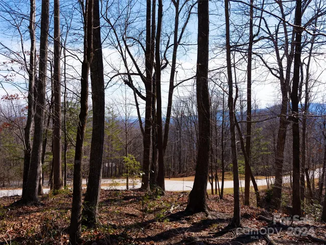 a view of a yard with large trees