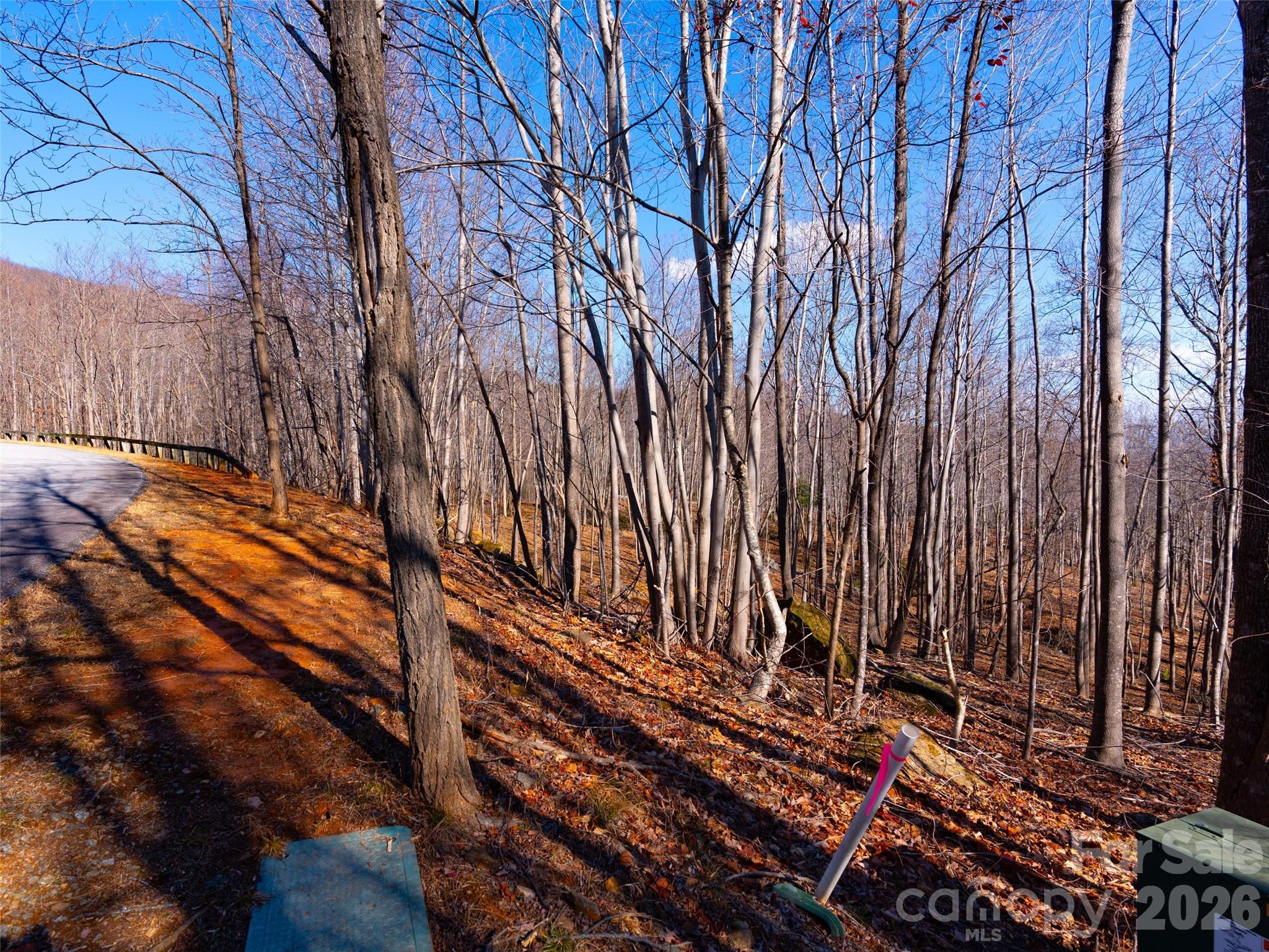 220 Chesterfield Drive Mill Spring, NC 28756 - Photo 18 of 34