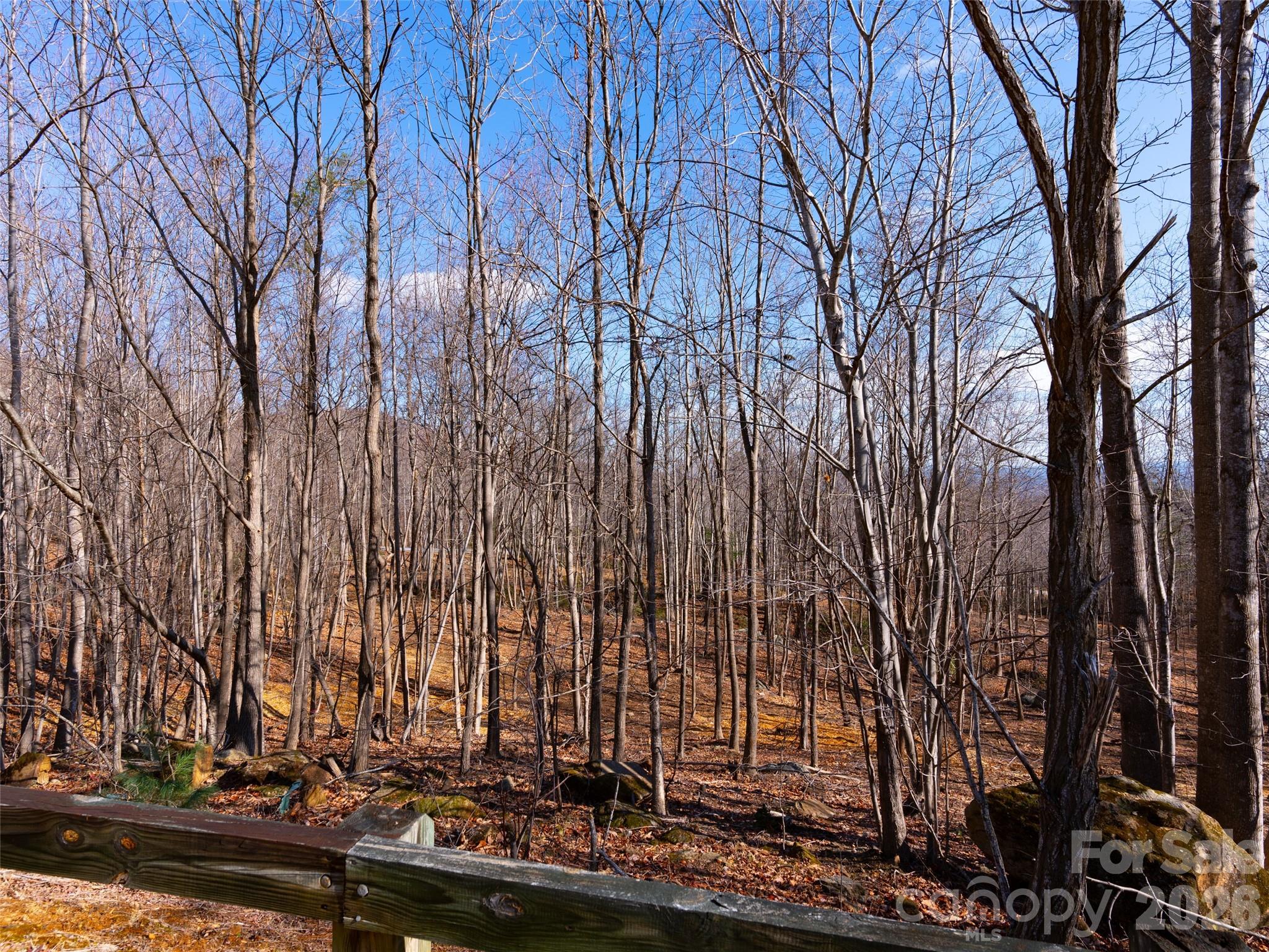 220 Chesterfield Drive Mill Spring, NC 28756 - Photo 19 of 34