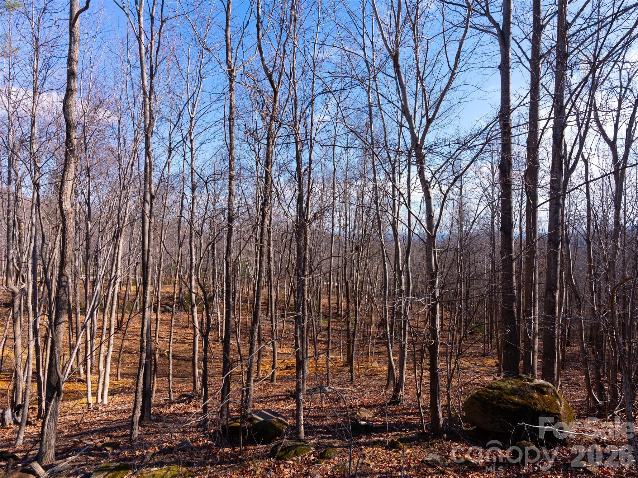 220 Chesterfield Drive Mill Spring, NC 28756 - Photo 20 of 34