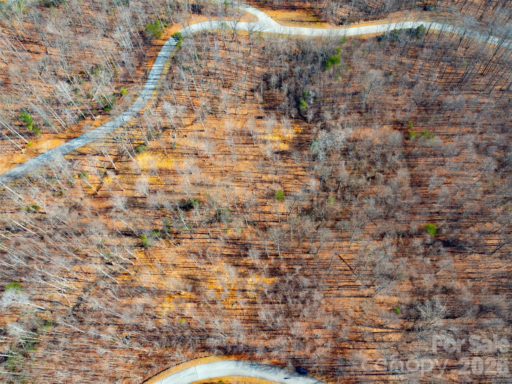 220 Chesterfield Drive Mill Spring, NC 28756 - Photo 2 of 34