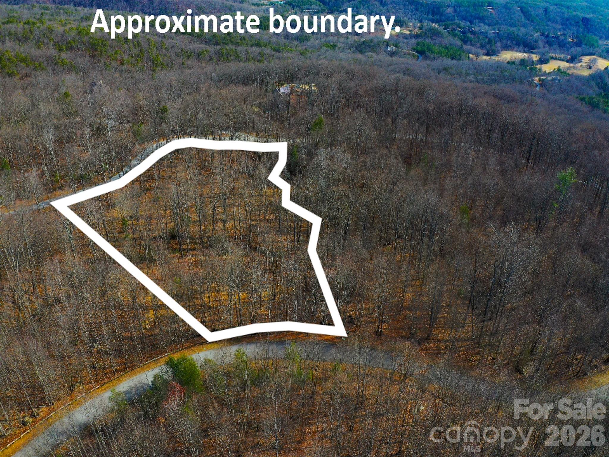 220 Chesterfield Drive Mill Spring, NC 28756 - Photo 21 of 34