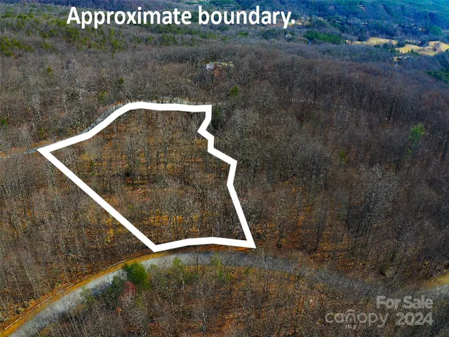 a view of a dry yard