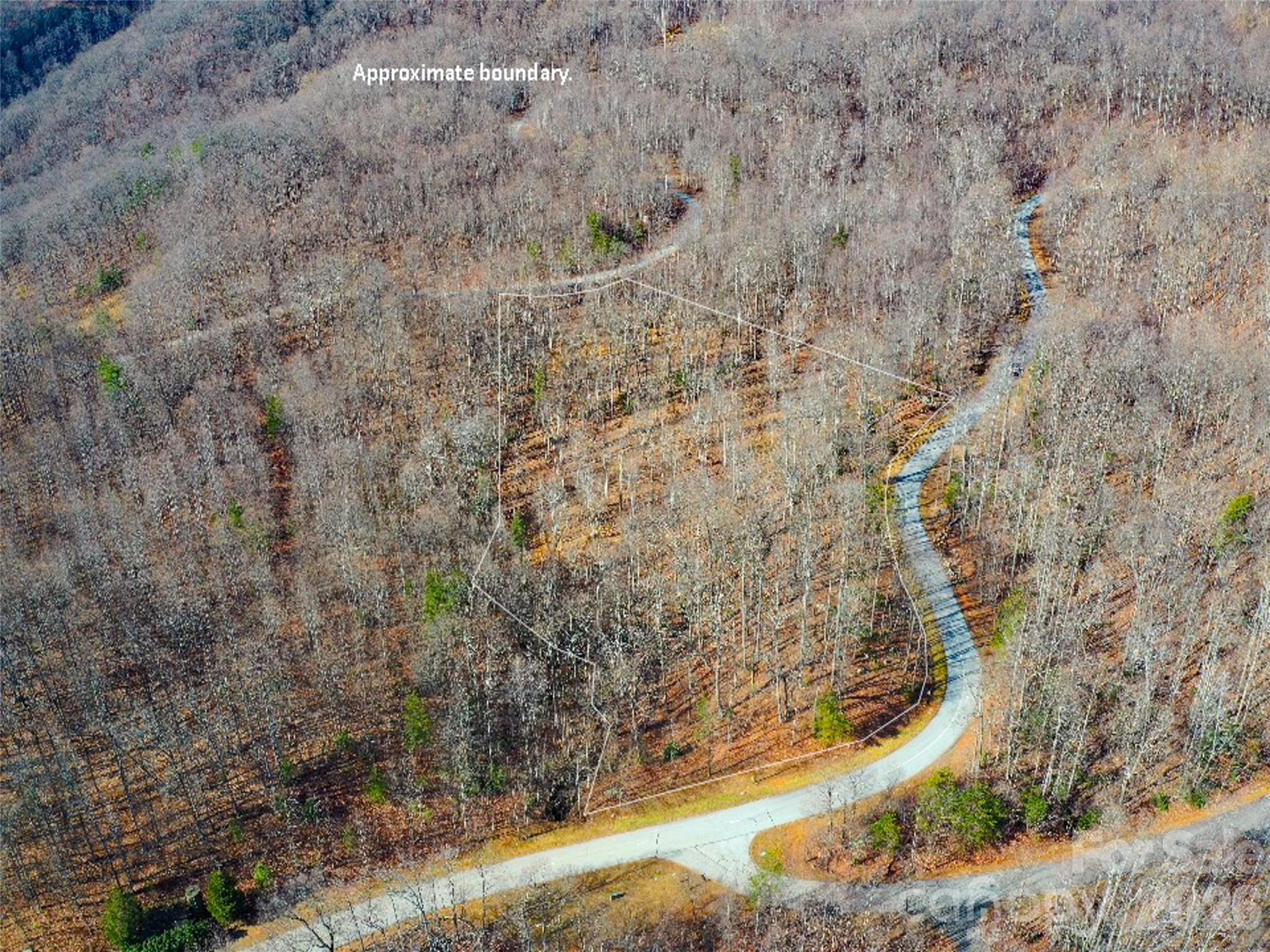 220 Chesterfield Drive Mill Spring, NC 28756 - Photo 23 of 34