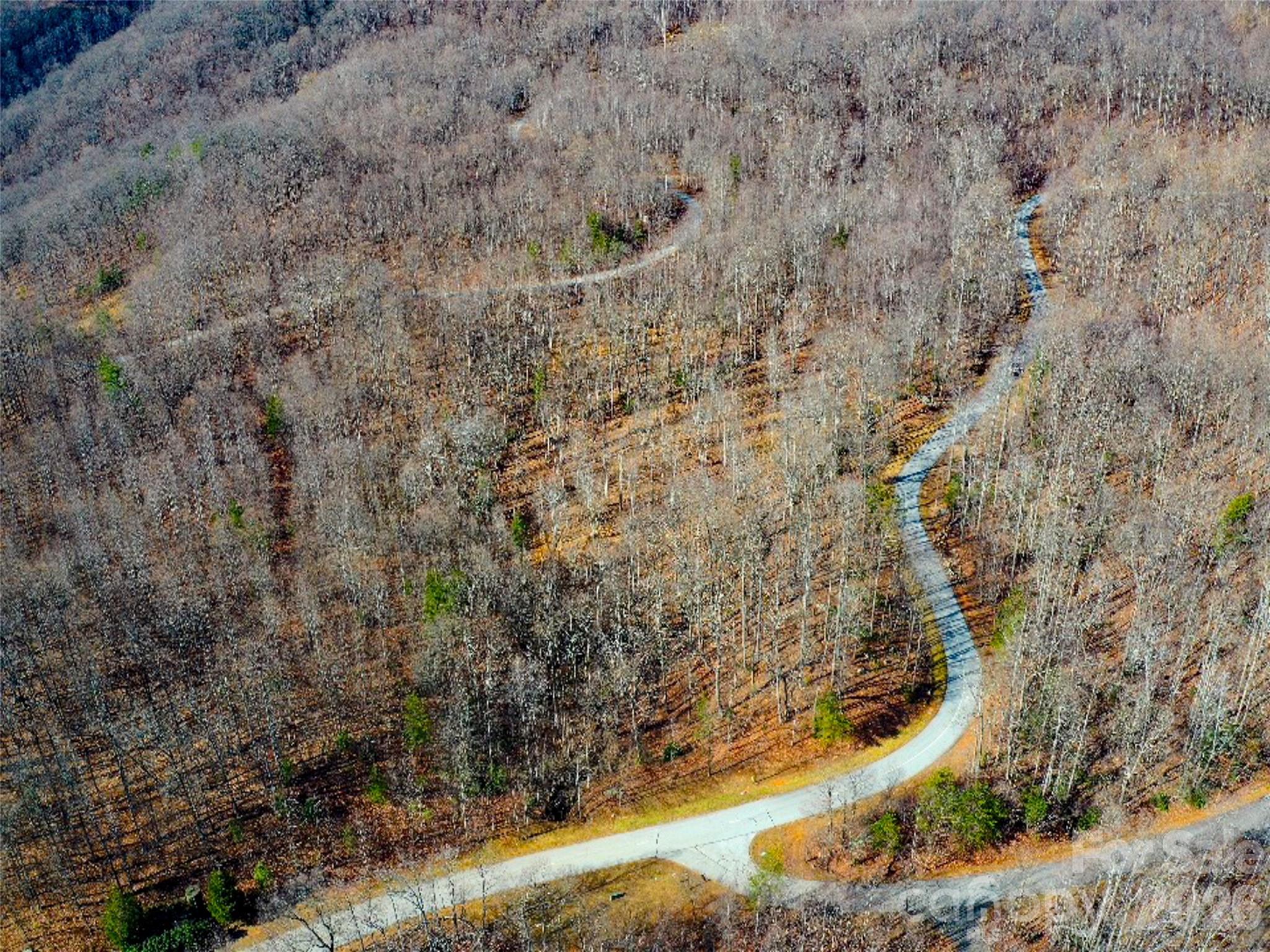 220 Chesterfield Drive Mill Spring, NC 28756 - Photo 24 of 34