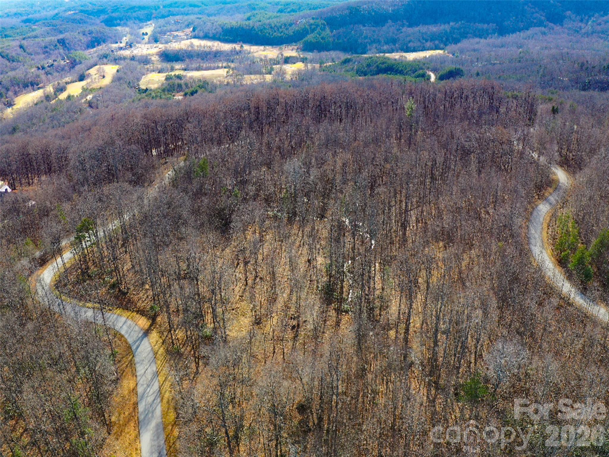 220 Chesterfield Drive Mill Spring, NC 28756 - Photo 26 of 34