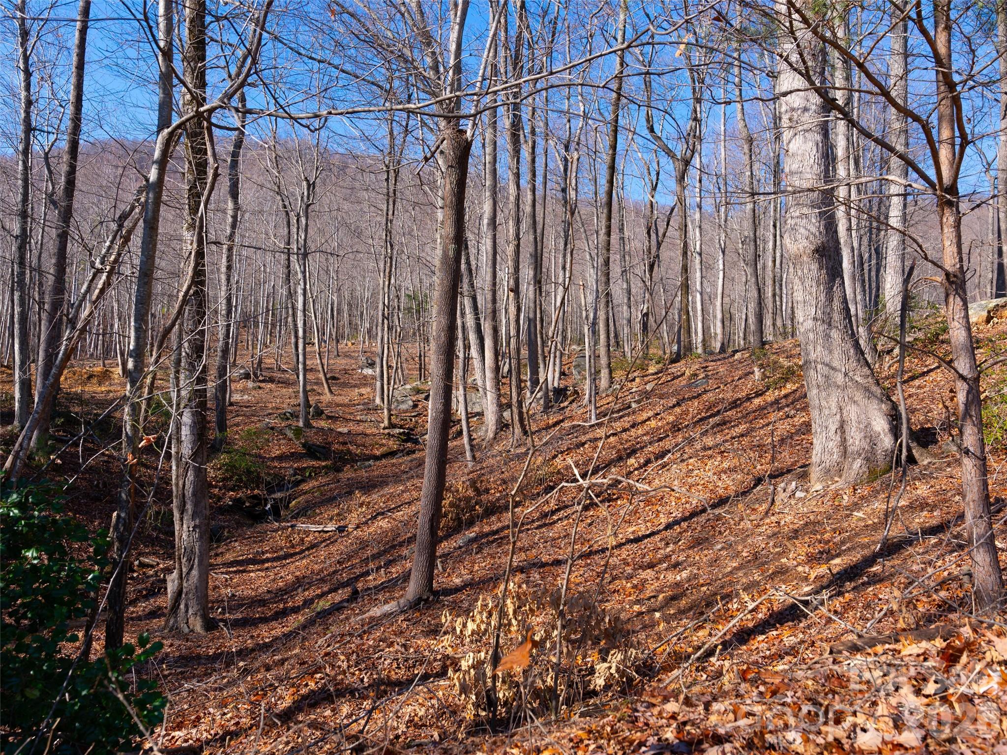 220 Chesterfield Drive Mill Spring, NC 28756 - Photo 4 of 34