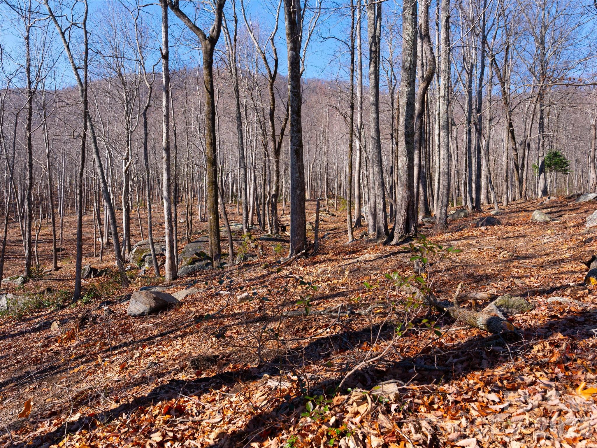 220 Chesterfield Drive Mill Spring, NC 28756 - Photo 5 of 34
