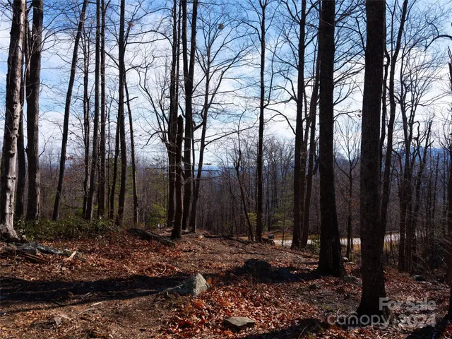 a view of outdoor space with trees