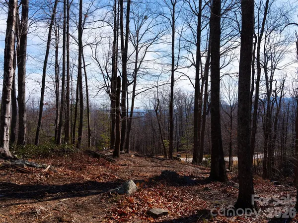 $145,000 | 220 Chesterfield Drive, Mill Spring, NC 28756