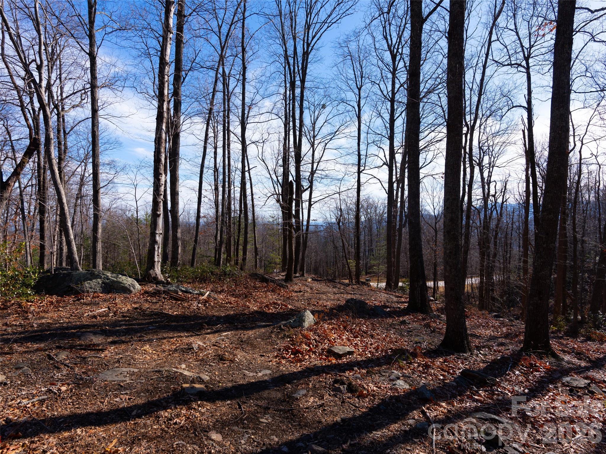 220 Chesterfield Drive Mill Spring, NC 28756 - Photo 7 of 34