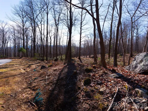 $145,000 | 220 Chesterfield Drive, Mill Spring, NC 28756