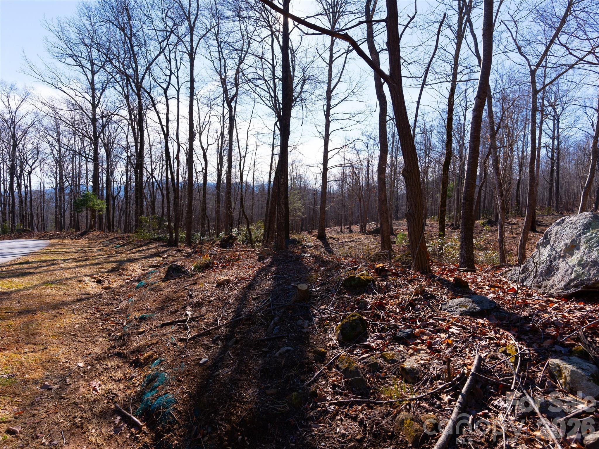 220 Chesterfield Drive Mill Spring, NC 28756 - Photo 8 of 34