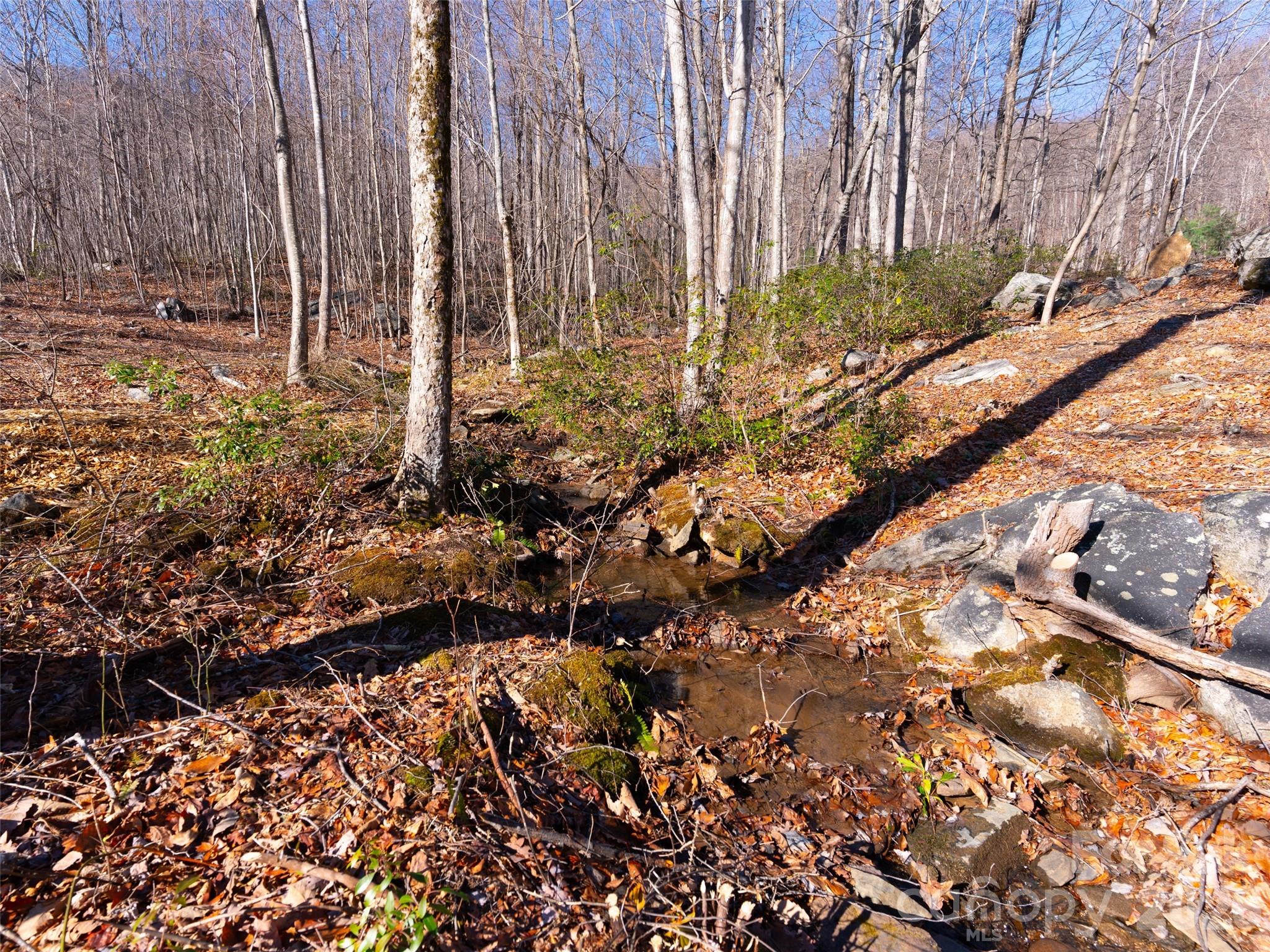 220 Chesterfield Drive Mill Spring, NC 28756 - Photo 9 of 34