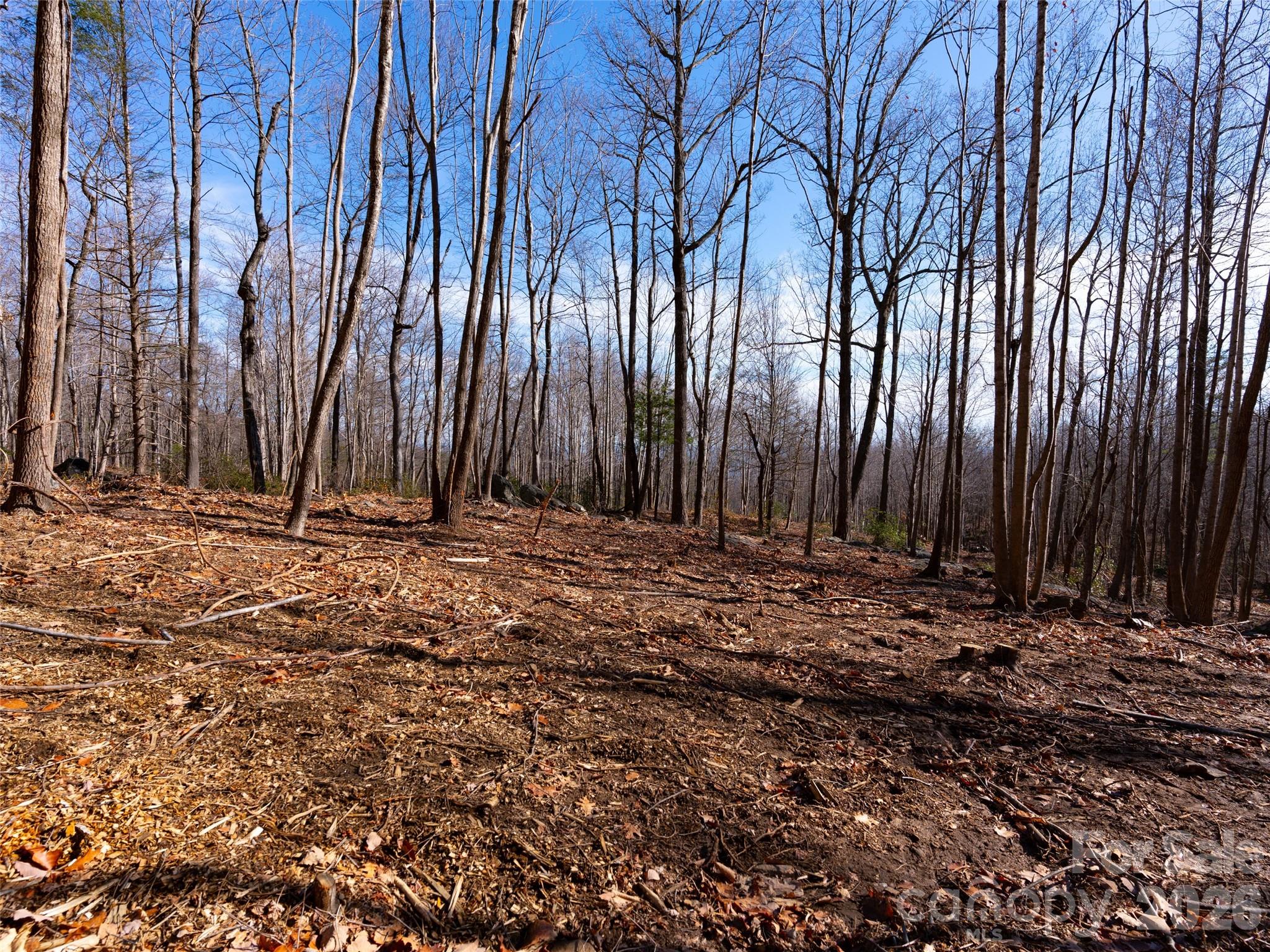 220 Chesterfield Drive Mill Spring, NC 28756 - Photo 10 of 34