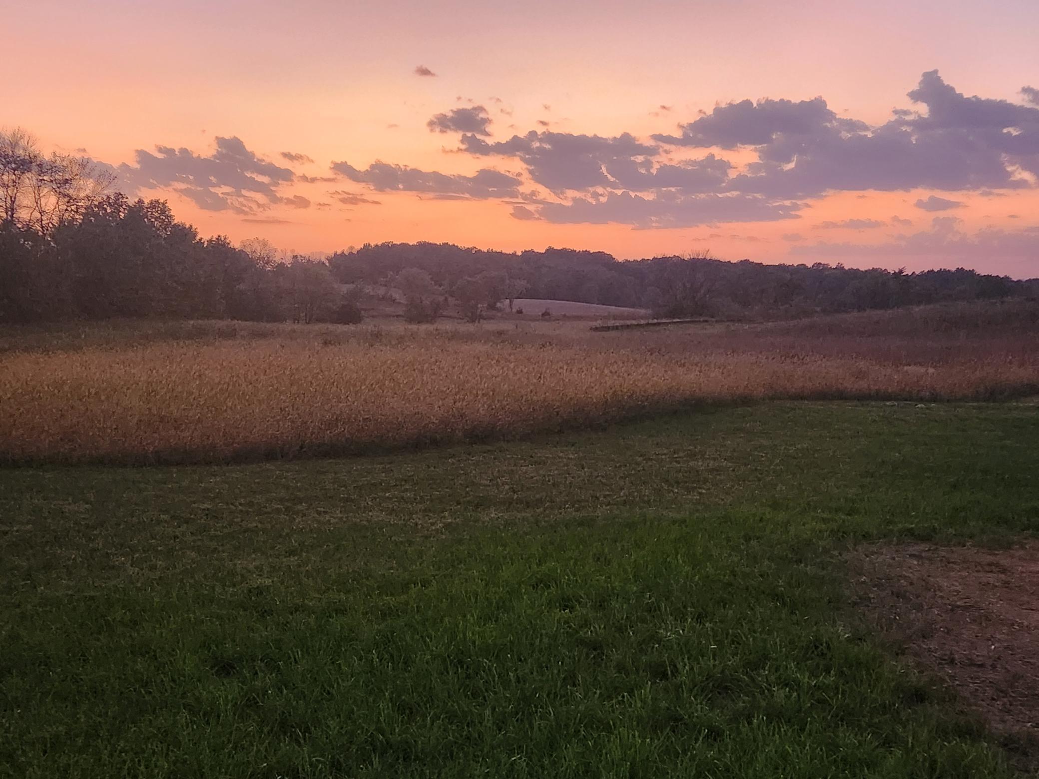 8800 Grace Lane North Greenfield, MN 55357 - Photo 6 of 79