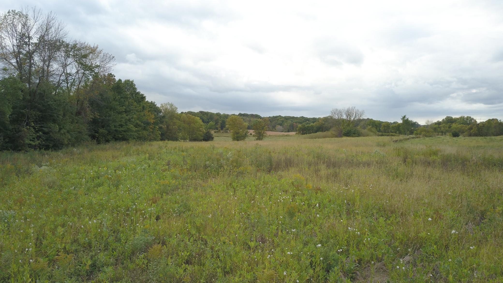 8800 Grace Lane North Greenfield, MN 55357 - Photo 78 of 79