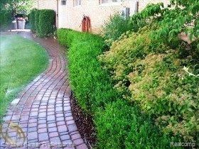 45680 Drexel Road Canton, MI 48187 - Photo 15 of 15 Brick Paver Path