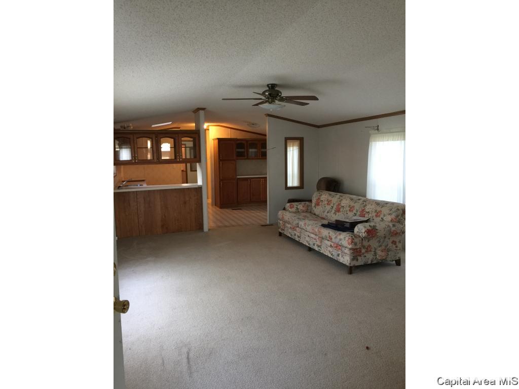 3 St Roodhouse Il 62082 Roodhouse, IL 62082 - Photo 9 of 12