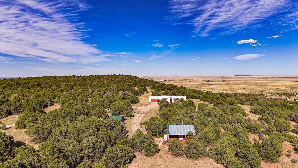 423 Trailsend Road Walsenburg, CO 81089 - Photo 48 of 51
