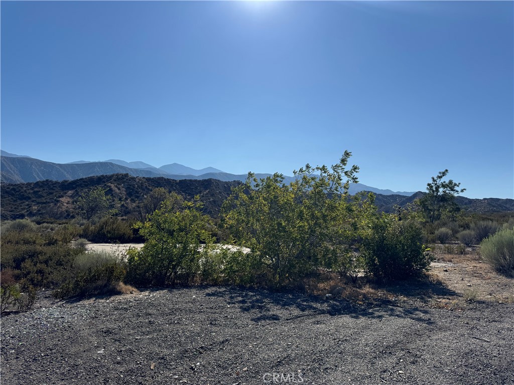 4292 Davis Ranch Road Phelan, CA 92371 - Photo 17 of 50 a view of a dry field