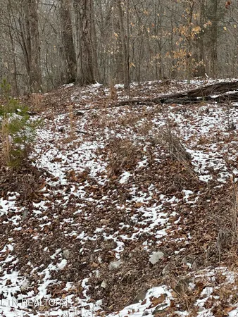 $30,000 | 12 Sams Mountain Road, Middlesboro, KY 40965