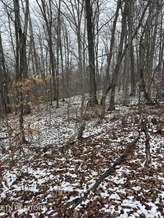 $30,000 | 12 Sams Mountain Road, Middlesboro, KY 40965