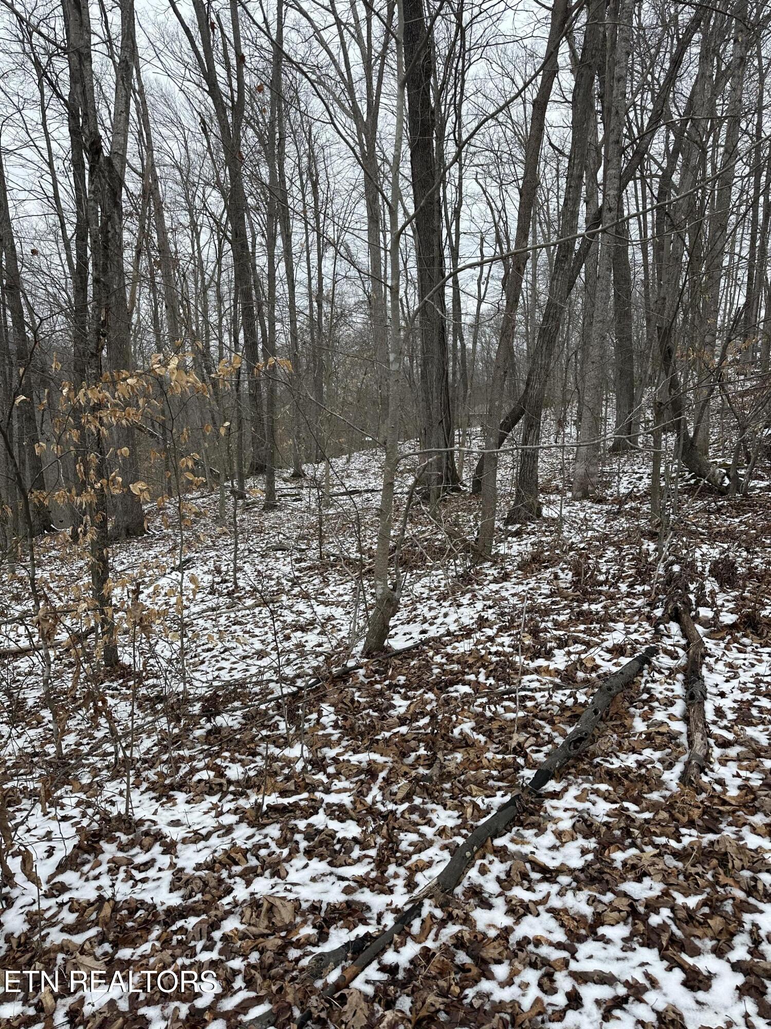 12 Sams Mountain Road Middlesboro, KY 40965 - Photo 2 of 5 IMG_1167