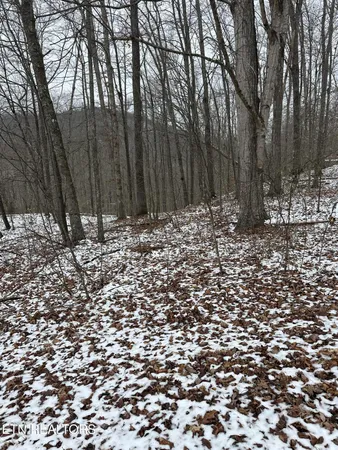 $30,000 | 12 Sams Mountain Road, Middlesboro, KY 40965