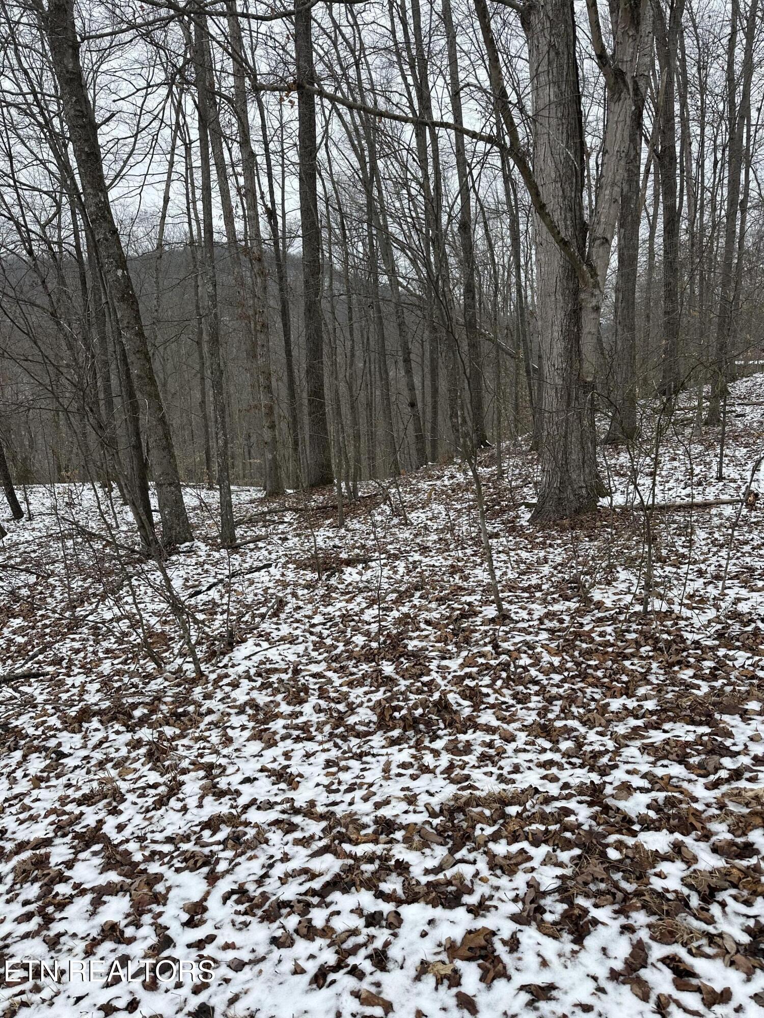 12 Sams Mountain Road Middlesboro, KY 40965 - Photo 3 of 5 IMG_1166